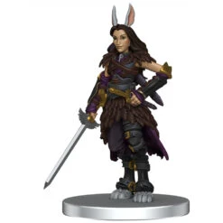 Critical Role Painted Figures: Exandria Unlimited - The Crown Keepers (Preorder) -Wizgame Sales WZK74286 3