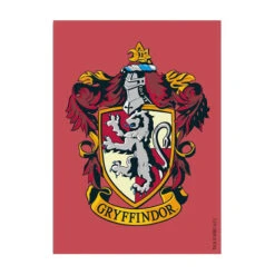 Dragon Shield Sleeves: Brushed - Gryffindor (100)
