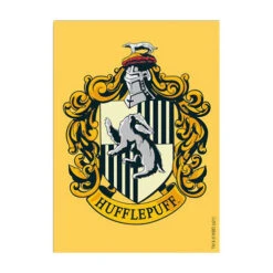 Dragon Shield Sleeves: Brushed - Hufflepuff (100)